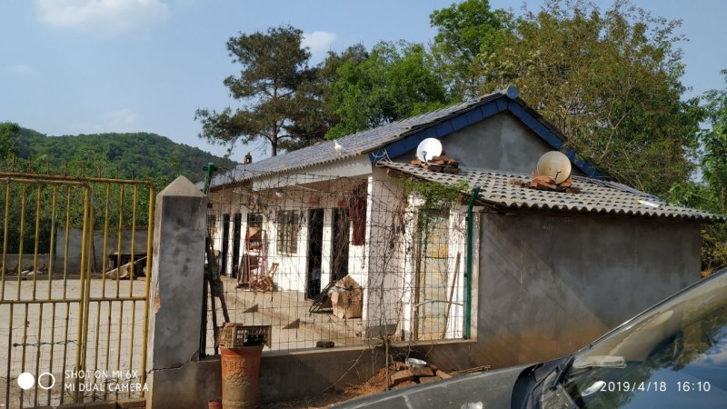 租售漳河边50亩果园宅院