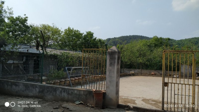 租售漳河边50亩果园宅院