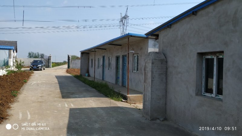 出租掇刀麻城50亩散养鸡厂