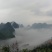 高山原木仿野生灵芝