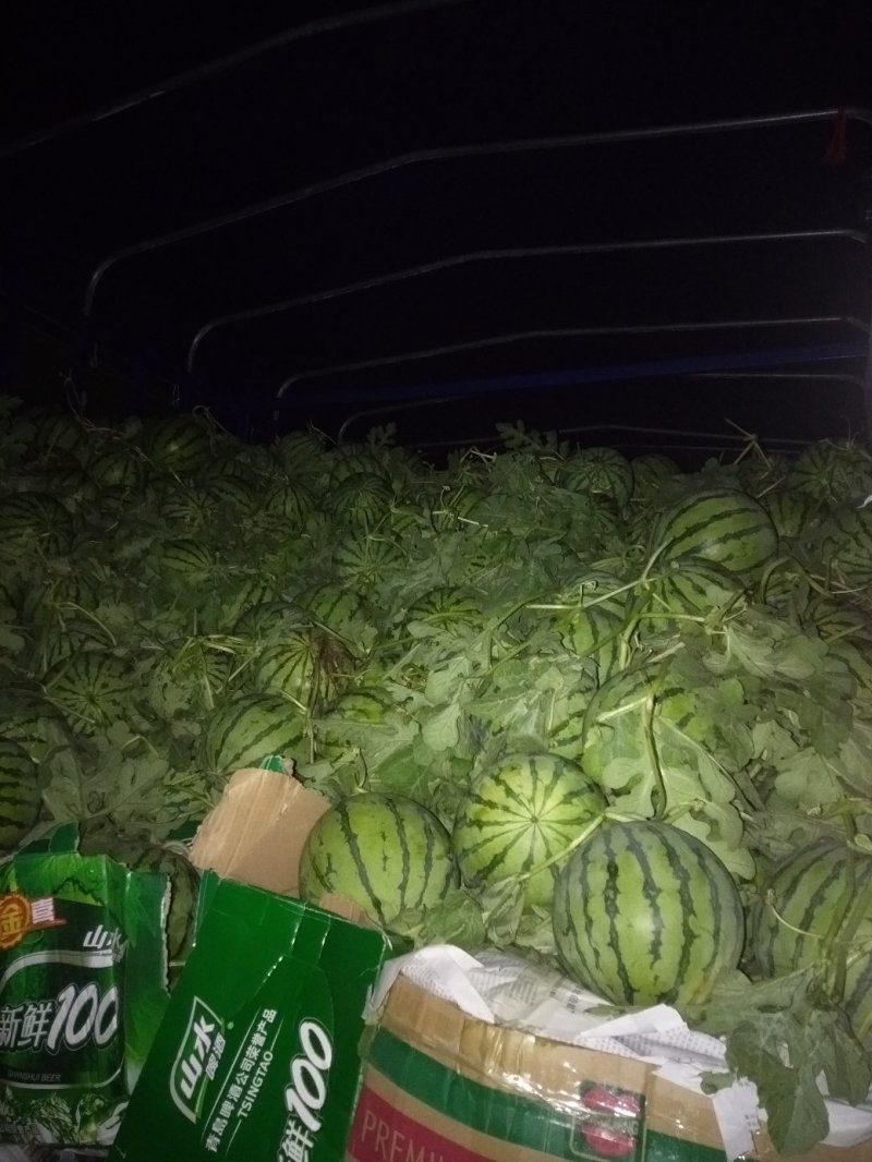 江苏西瓜，美都，家年华，8424头茬惊欣