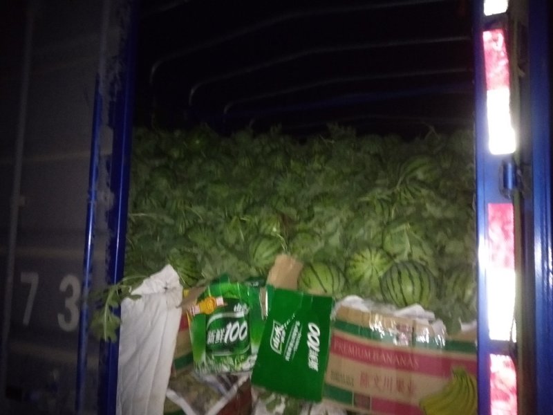 江苏西瓜，美都，家年华，8424头茬惊欣