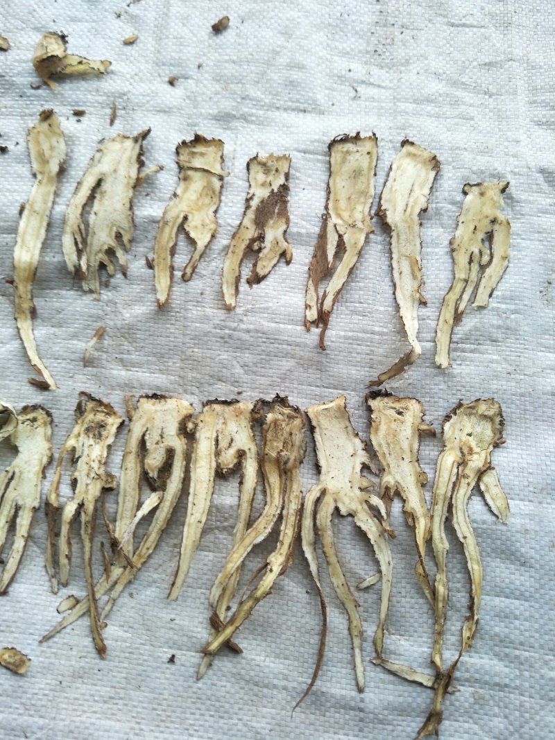 （新货包邮）甘肃岷县无硫大条当归，当归片（量大优惠）