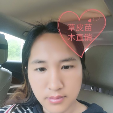杜鹃