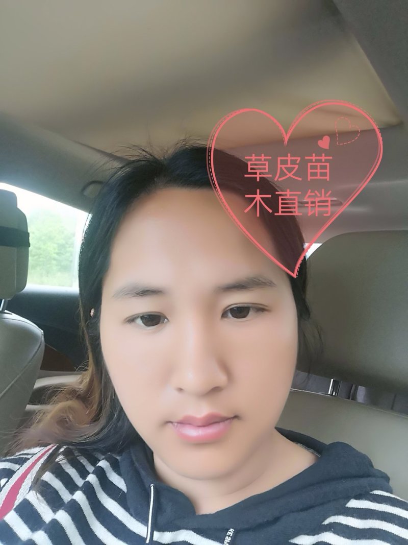 杜鹃
