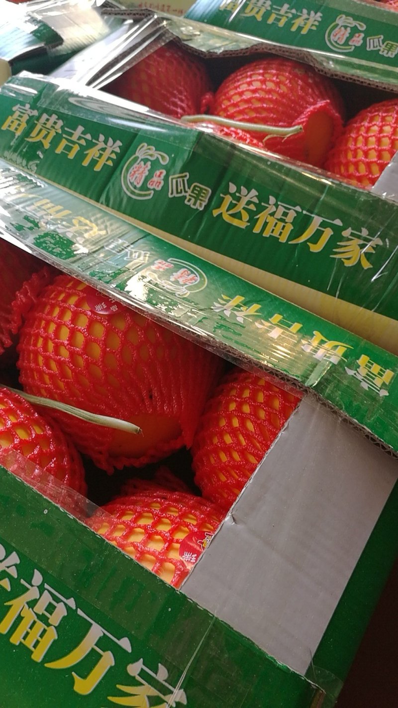 黄皮，久红瑞大量上市，便宜了，欢迎全国客商来发财