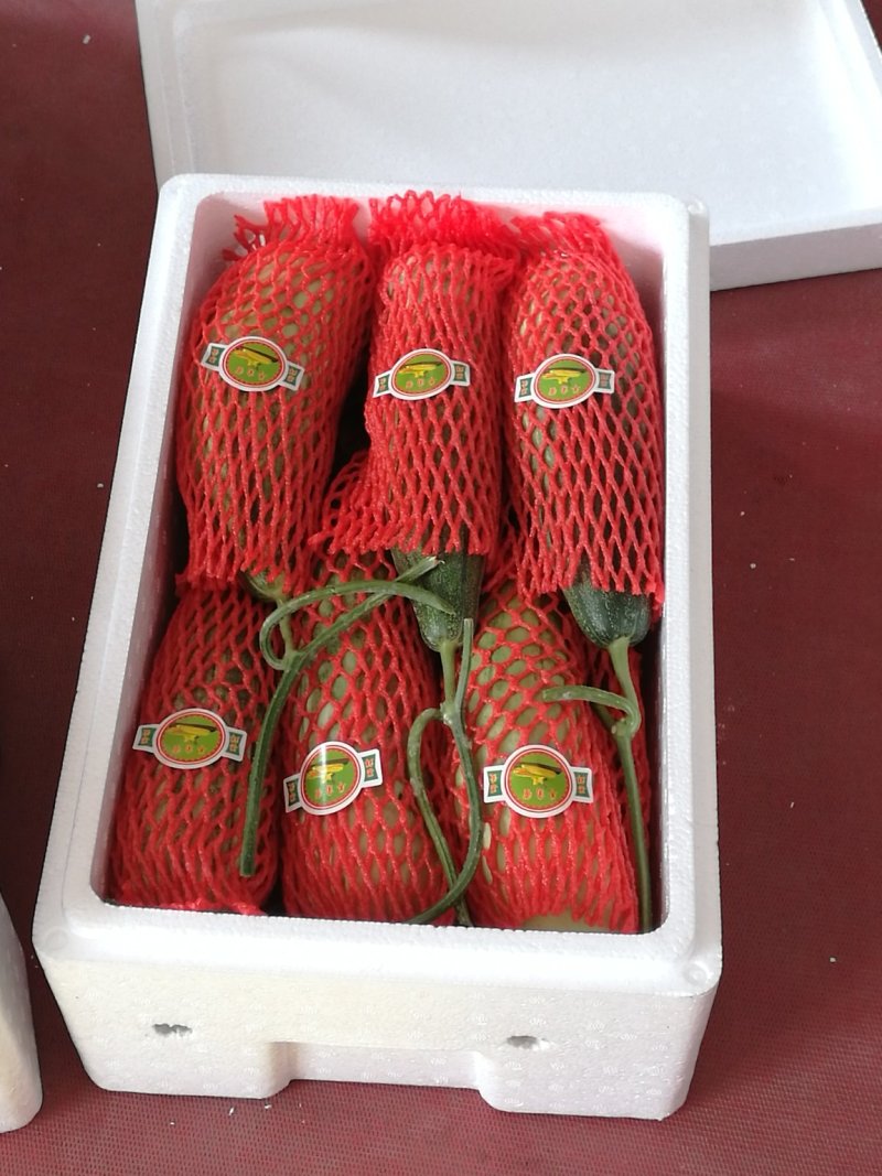 山东羊角蜜大量上市，甘甜可口食品，诚招全国客商，欢迎