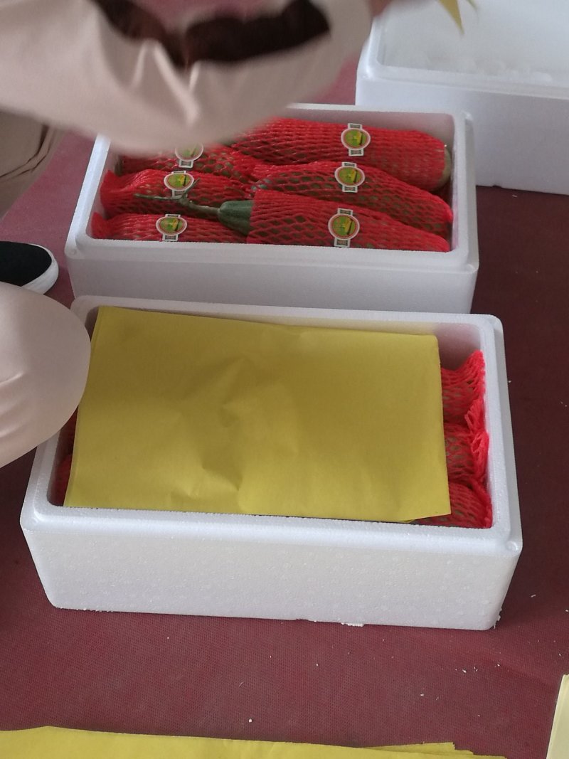 山东羊角蜜大量上市，甘甜可口食品，诚招全国客商，欢迎