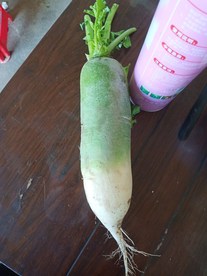 里外青萝卜