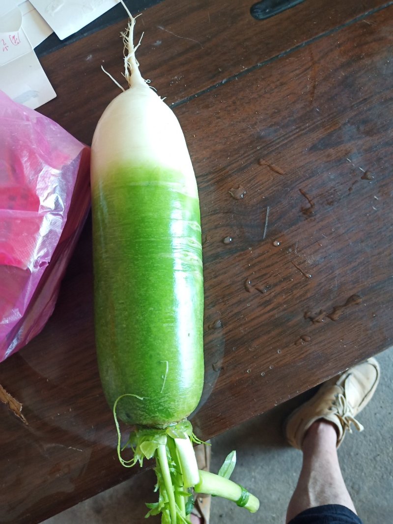 里外青萝卜