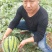 陕西西瓜，西安西瓜，闫良西安，大荔西瓜