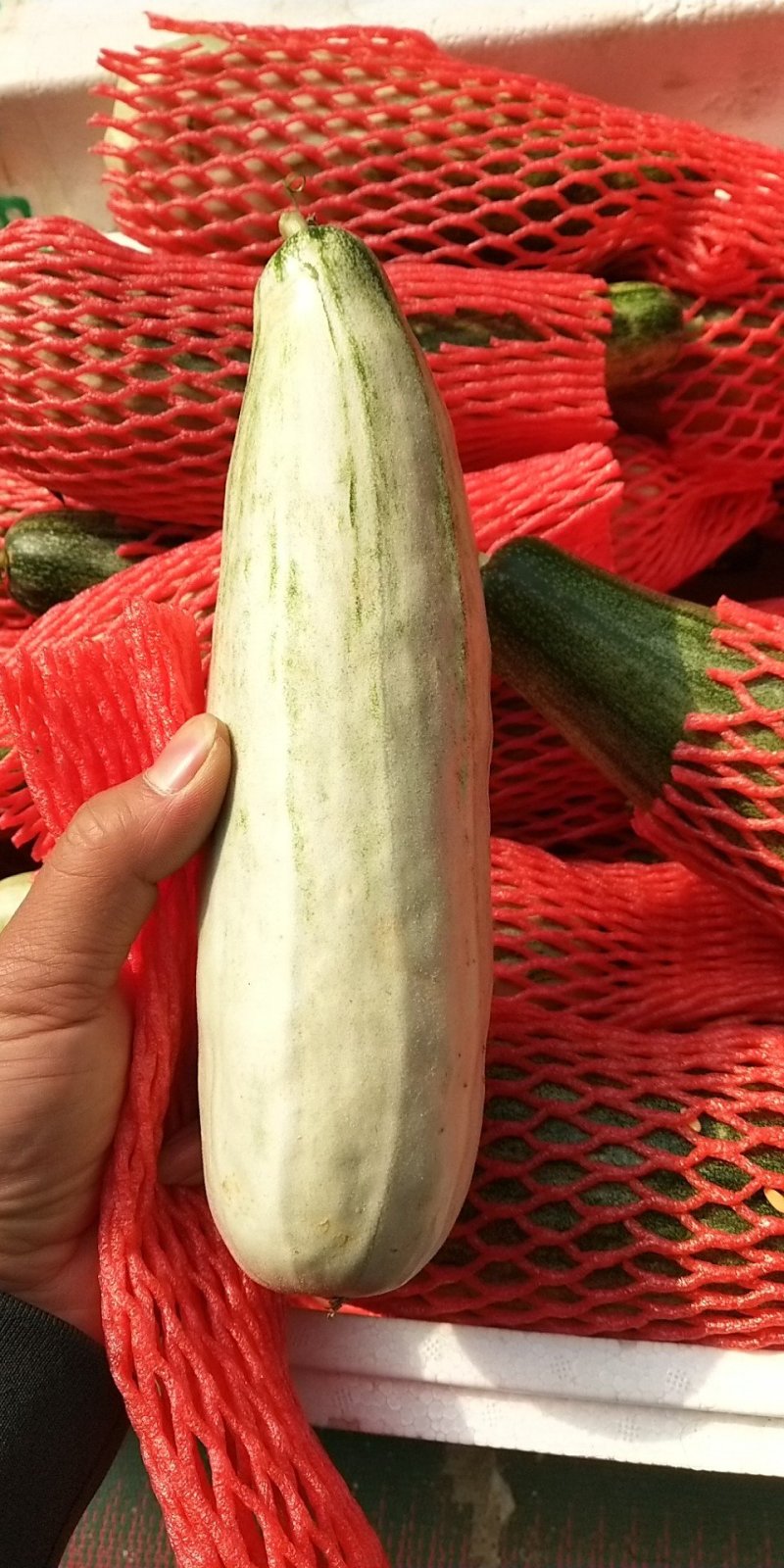 羊角蜜