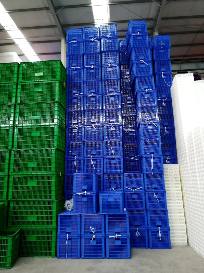 PE塑料筺厂家直销供应