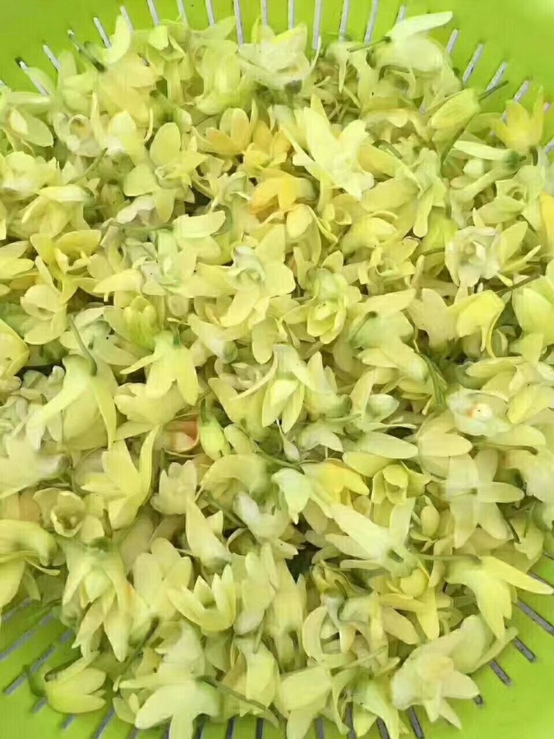 石斛干花霍山铁皮石斛花米斛花石斛花茶常年供应