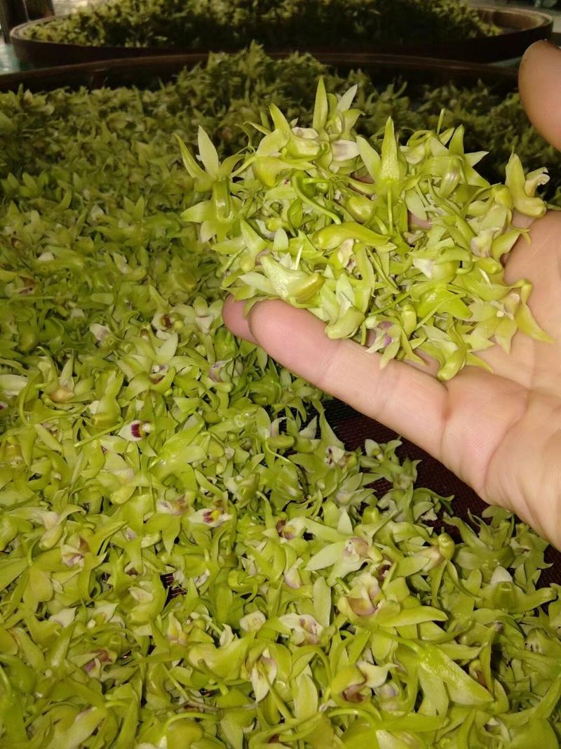 石斛干花霍山铁皮石斛花米斛花石斛花茶常年供应