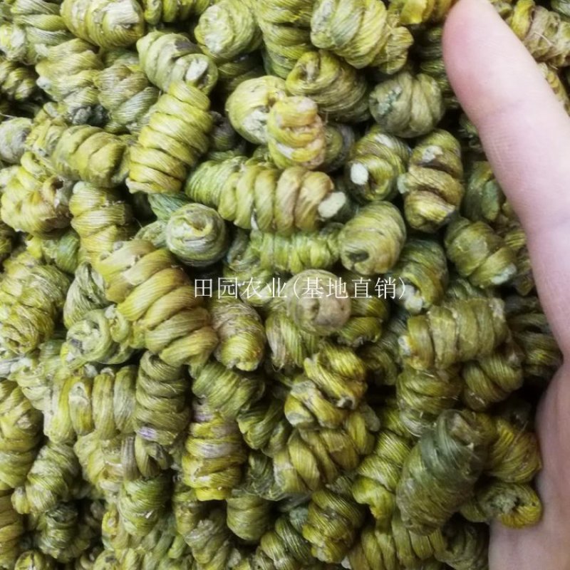 【头茬货】霍山铁皮石斛石斛枫斗礼盒装干条小米斛化渣好