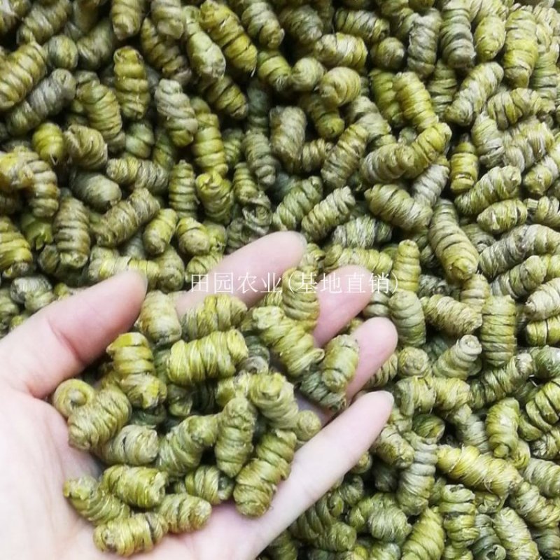 【头茬货】霍山铁皮石斛石斛枫斗礼盒装干条小米斛化渣好