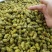 【头茬货】霍山铁皮石斛石斛枫斗礼盒装干条小米斛化渣好