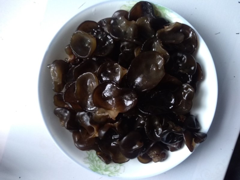 黑木耳菌棒