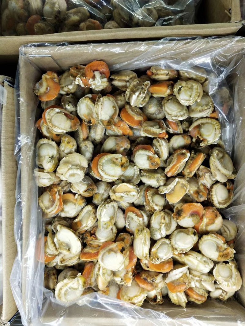 粉丝扇贝，蒜蓉粉丝扇贝，原壳扇贝，扇贝肉