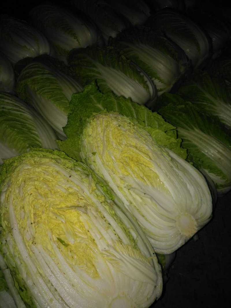 黄心金锦春白菜