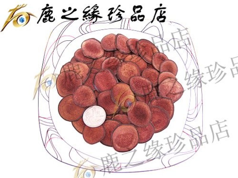 鹿茸片鹿茸片鹿茸红粉片鹿茸白粉片沙片骨片