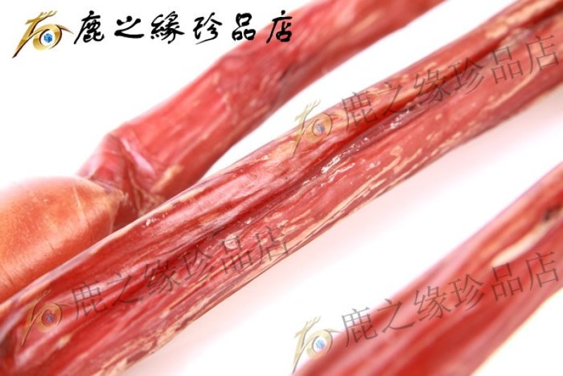 鹿鞭梅花鹿鹿鞭