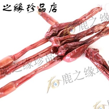 鹿鞭梅花鹿鹿鞭