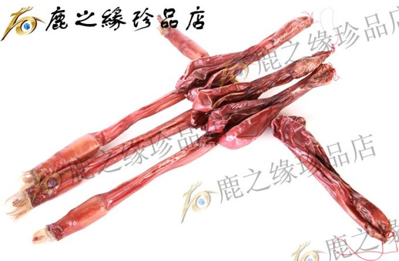 鹿鞭梅花鹿鹿鞭