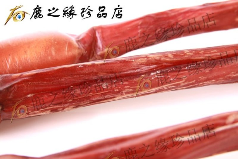 鹿鞭梅花鹿鹿鞭