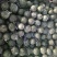西瓜
