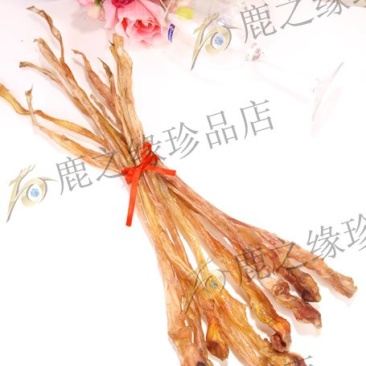 鹿筋