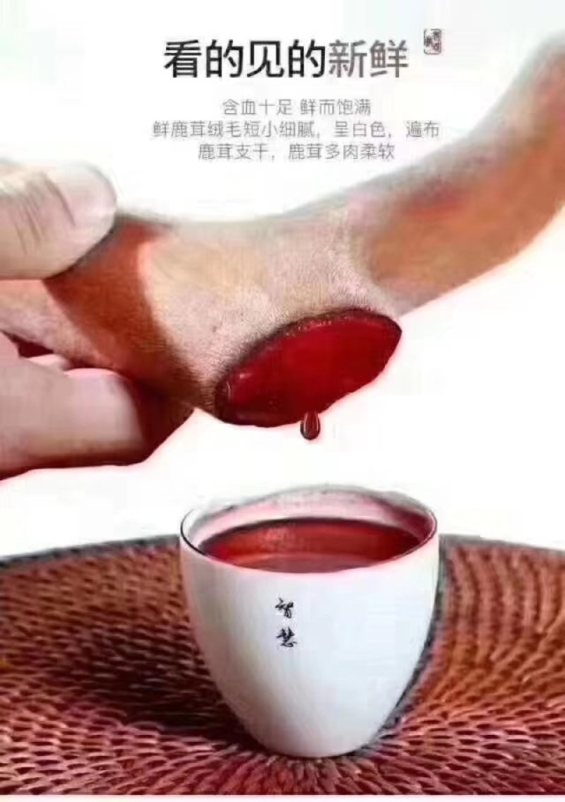 鹿茸血