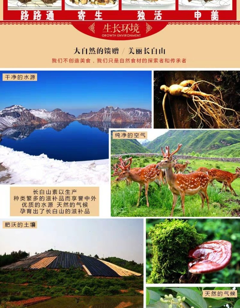 鹿心粉成年壮鹿鹿心3瓶包邮鹿心粉170g正品鹿乡