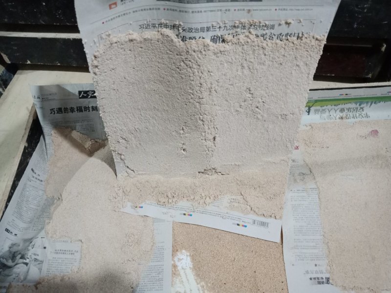 优质高密度黄粉虫虫卵