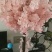 樱花仿真花樱花
