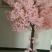 樱花仿真花樱花