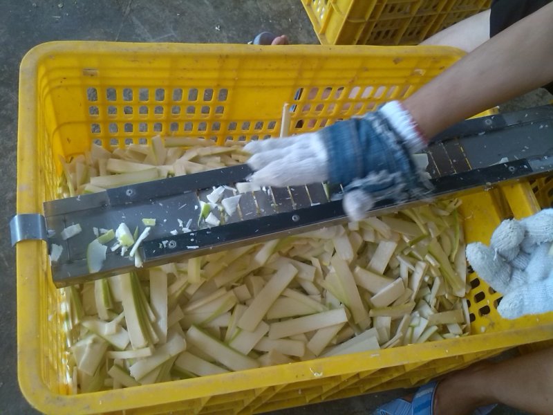 酸笋麻竹笋酸笋丝盐笋片笋丝螺丝粉专用酸笋竹苗
