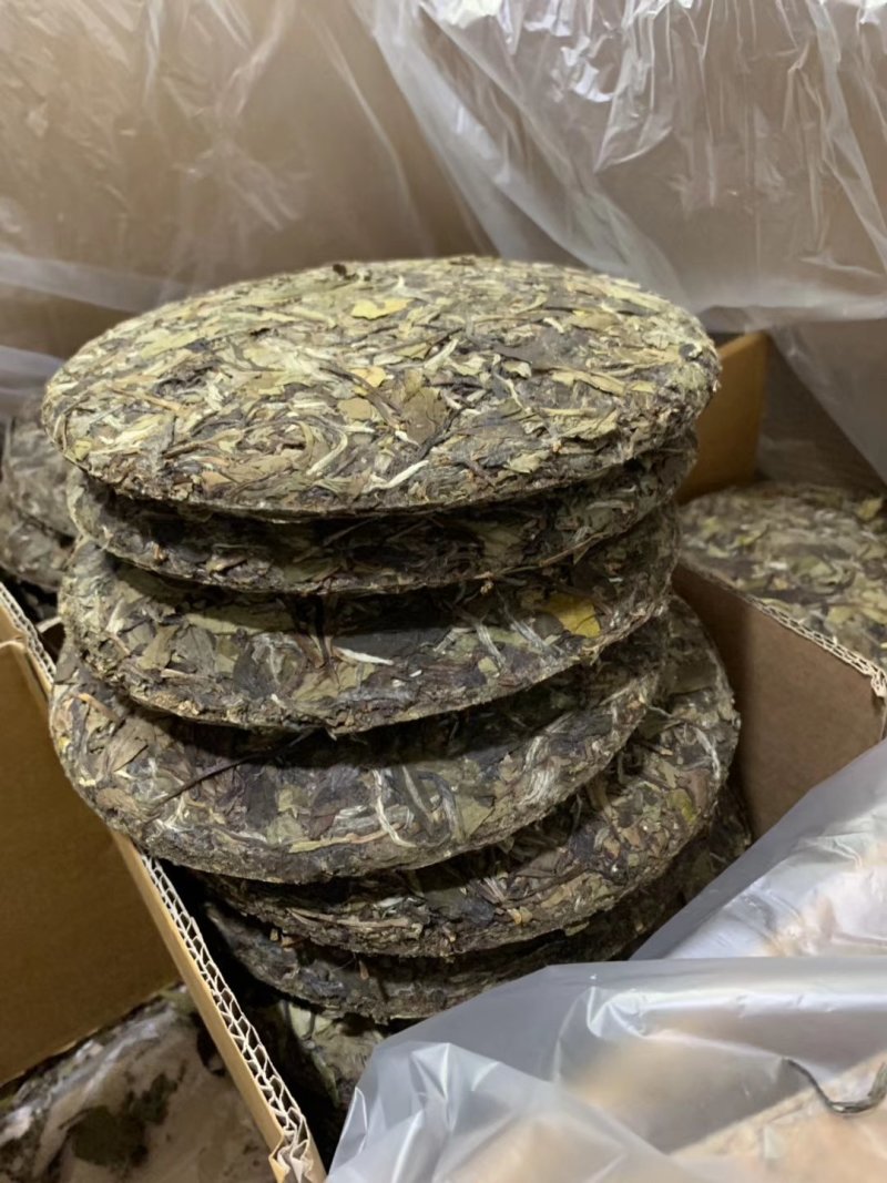 高山荒野白牡丹