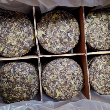 高山荒野白牡丹