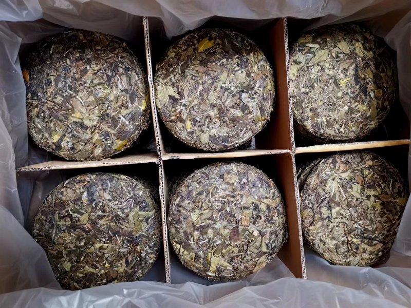 高山荒野白牡丹