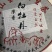 高山荒野白牡丹