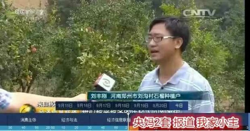 突尼斯软籽石榴一斤大果礼盒装