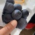 云南精品夏黑.黑提.大量上市！欢迎各地客商来收购！