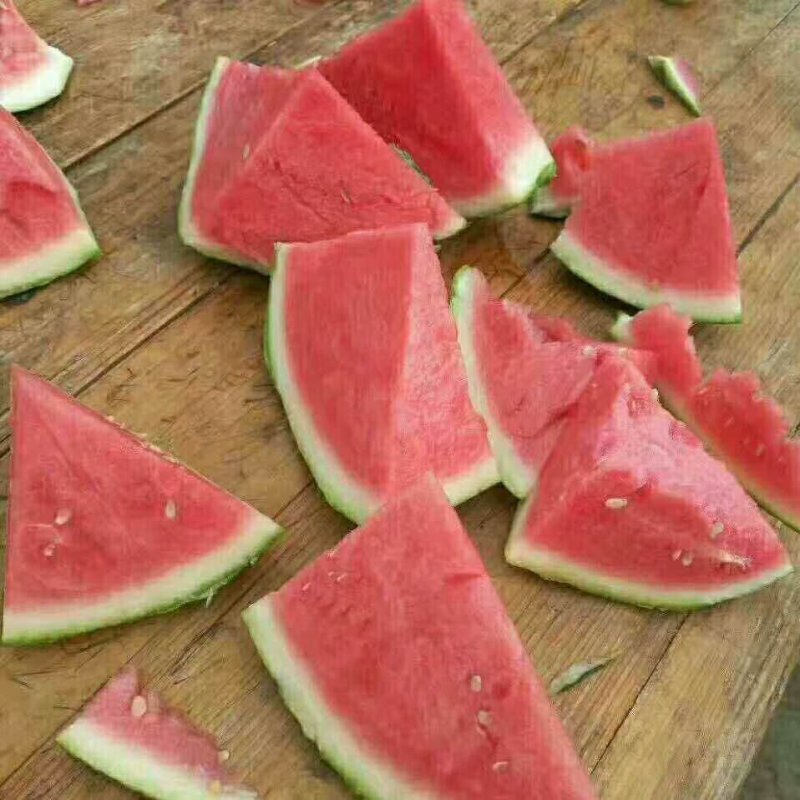 实力推荐，8424精品西瓜，产地直供，质量上乘！