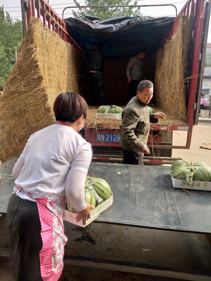 实力推荐，8424精品西瓜，产地直供，质量上乘！