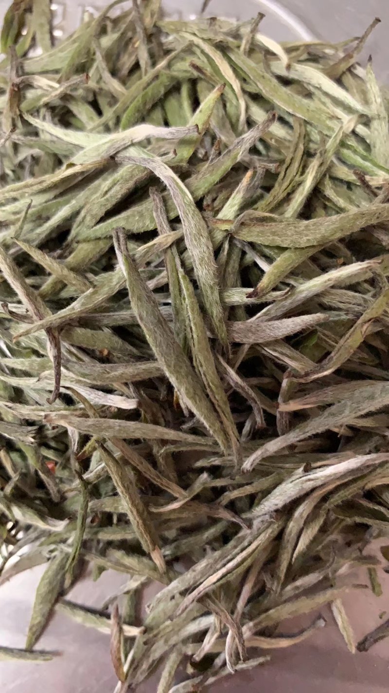 特级白毫银针