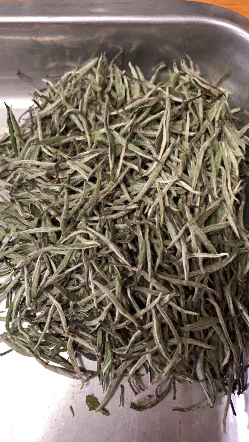 特级白毫银针