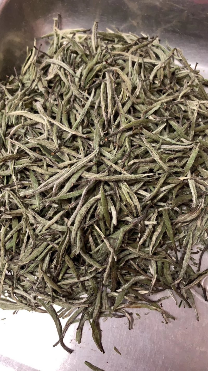 特级白毫银针