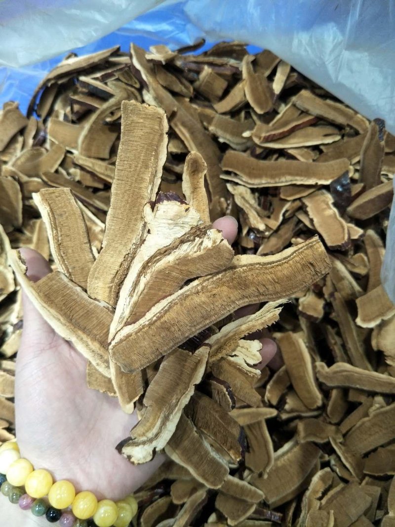 切片灵芝